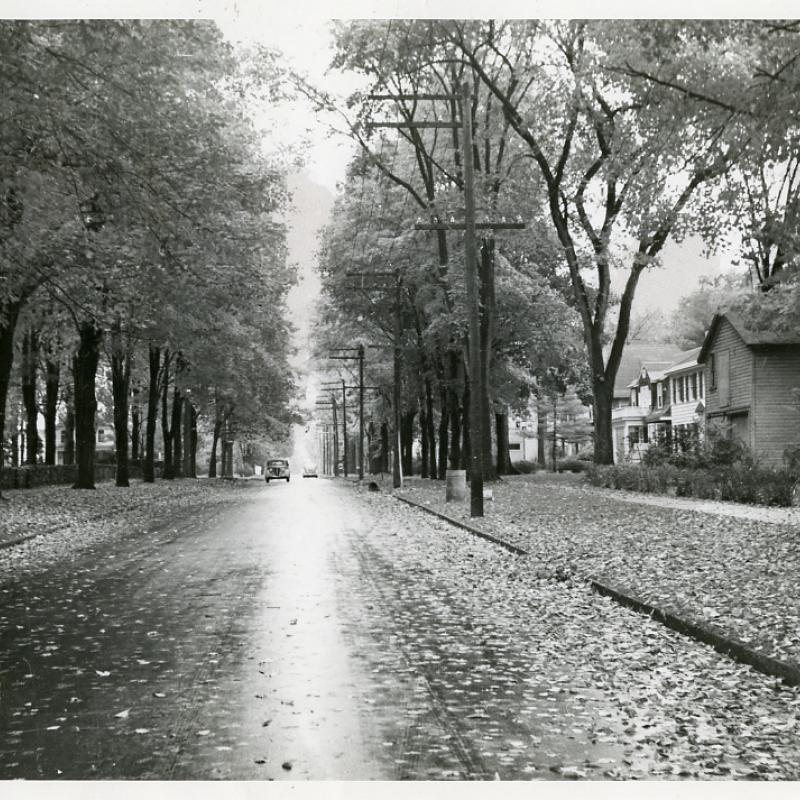 Autumn street scene